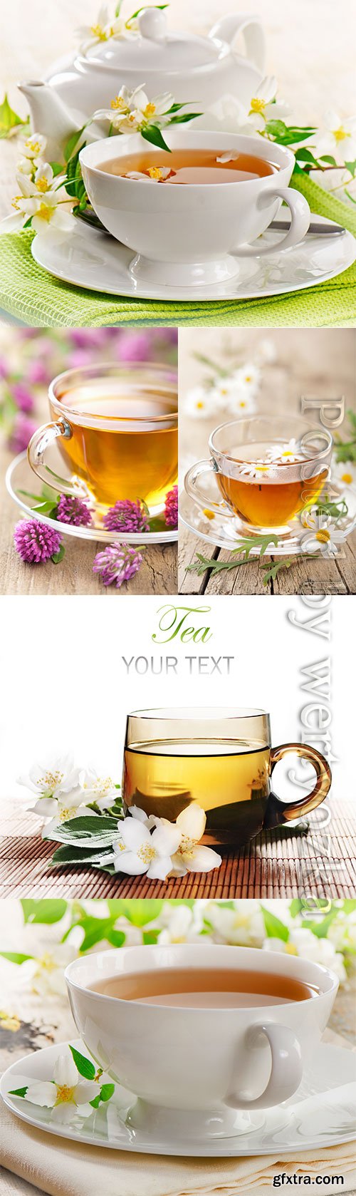 Fruit berry tea stock photo