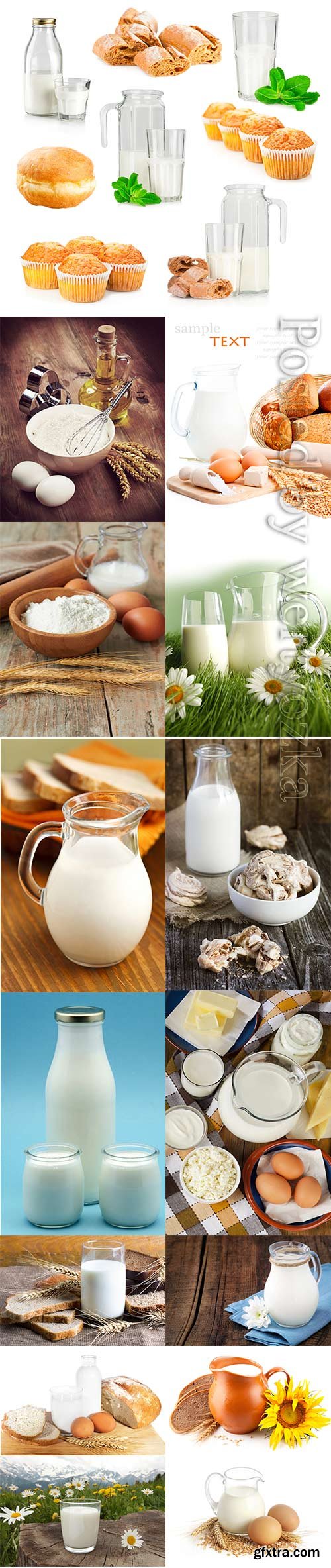 Milk and dairy products stock photo