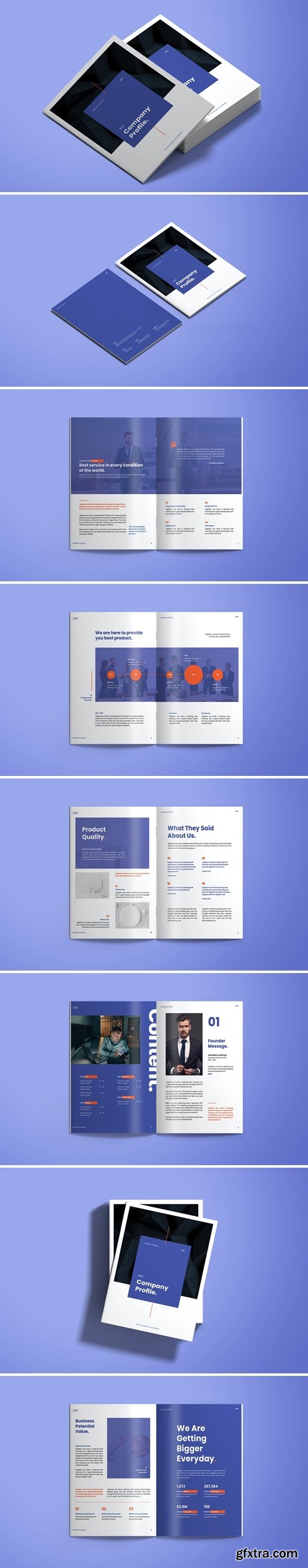 Company Profile - Brochure V.1