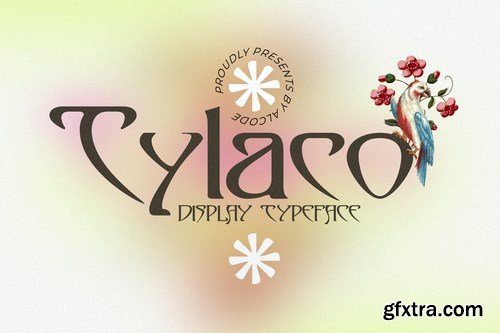 CM - Tylaco Font 6179878