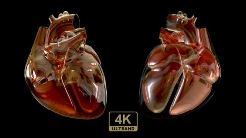 Videohive - Heart Of Glass - 29613107 - 29613107