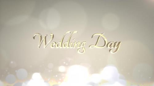 Videohive - Text Wedding Day and motion white and gold circles - 32698832 - 32698832