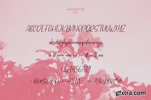 Castella Script Font