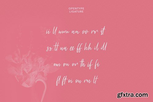 Castella Script Font