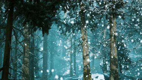 Videohive - Heavy Snowstorm in Conifer Forest - 32700113 - 32700113