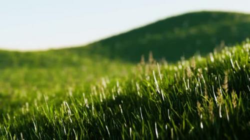 Videohive - Green Fresh Grass As a Nice Background - 32700813 - 32700813