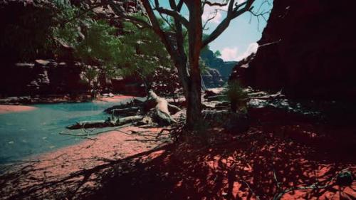 Videohive - Trees Near Colorado River in Grand Canyon - 32701460 - 32701460