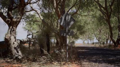 Videohive - Outback Road with Dry Grass and Trees - 32701517 - 32701517