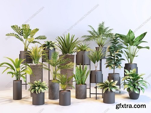 Plants Collection 64 3d models