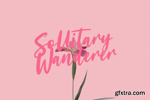 Sollitairy Script Font