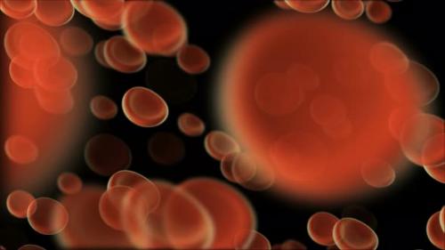 Videohive - Red blood cells moving in the blood stream - 32677457 - 32677457