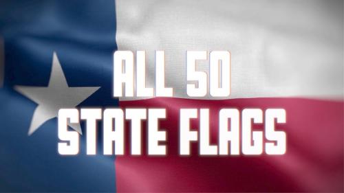 Videohive - Flags of All 50 States - 32745127 - 32745127