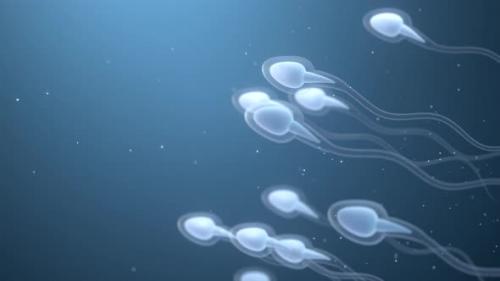 Videohive - Human sperm cells - 32783142 - 32783142