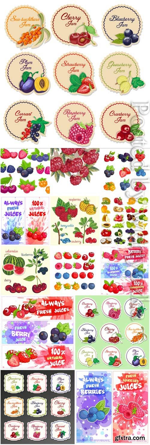 Labels and stickers with berries and fruits in vector