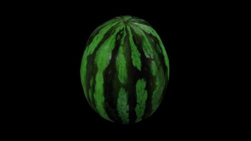 Videohive - 3D watermelon spins on a black background - 32805890 - 32805890