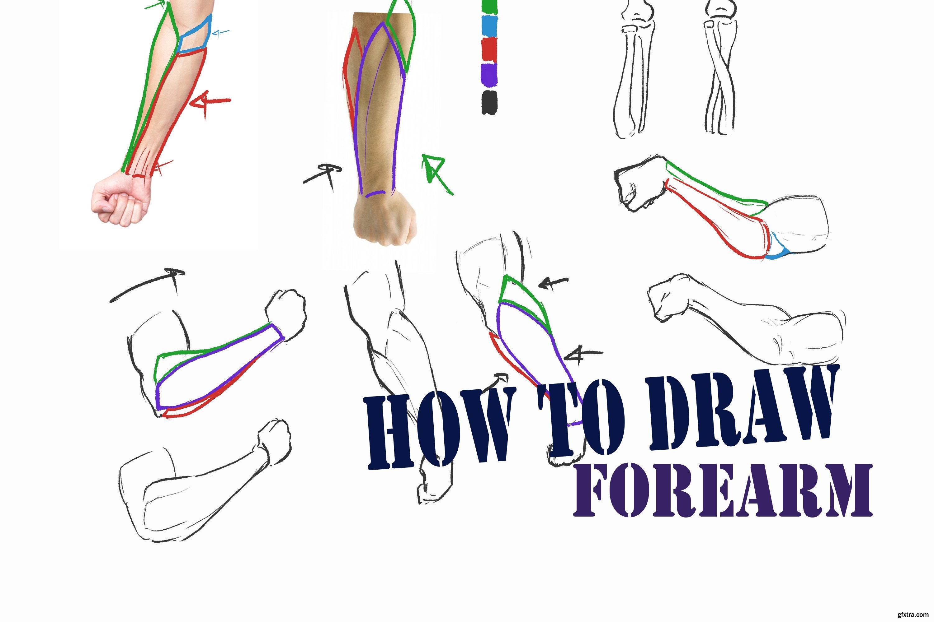 How to Draw Forearms » GFxtra