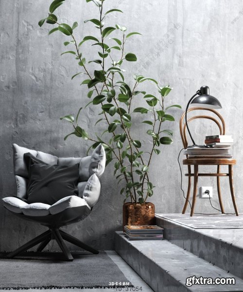 Casual chair Plant & Decor set Combination