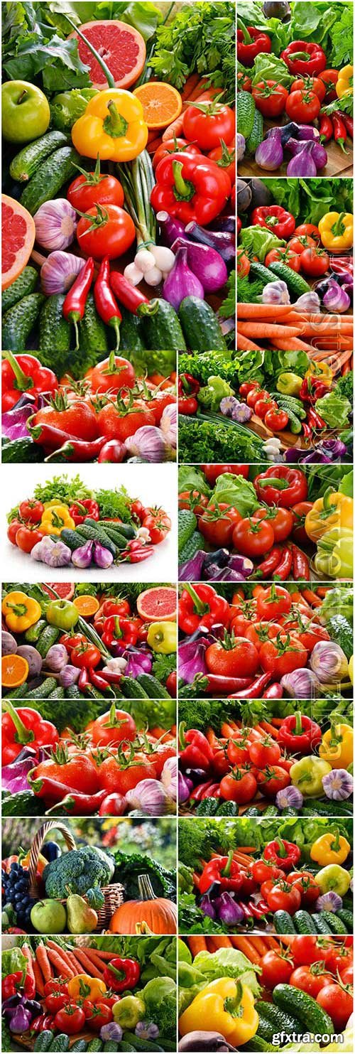 Set of fresh vegetables stock photo