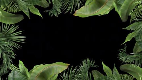 Videohive - Frame From Tropical Plants Moving in the Wind in a Loop Animation with Alpha Channel - 32817784 - 32817784