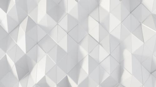 Videohive - Elegant White Polygons 23 - 32817820 - 32817820