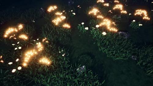 Videohive - Glowing Flowers On Green Lawn - 32819427 - 32819427