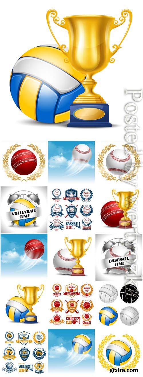 Sports items, balls and cups in vector