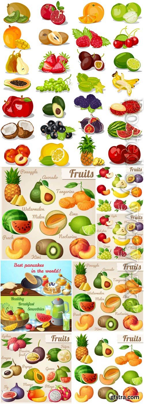 Set of tropical fruits and various berries in vector