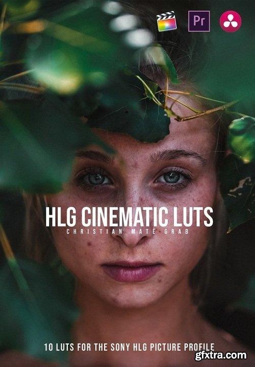 HLG CINEMATIC LUTs (Win/Mac)