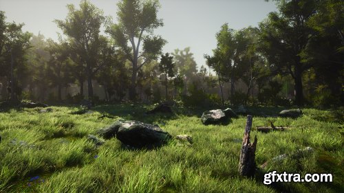 3D-Scanned, Photo-Realistic Forest Landscape Asset Pack Vol. 1