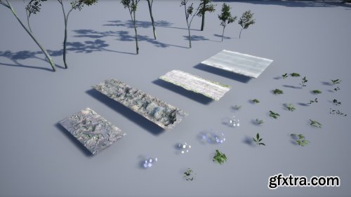 3D-Scanned, Photo-Realistic Forest Landscape Asset Pack Vol. 1