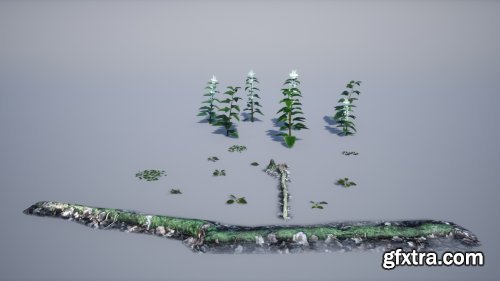 3D-Scanned, Photo-Realistic Forest Landscape Asset Pack Vol. 1