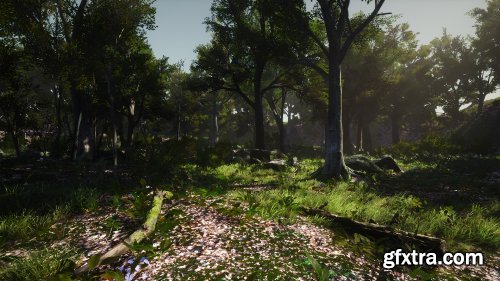 3D-Scanned, Photo-Realistic Forest Landscape Asset Pack Vol. 1