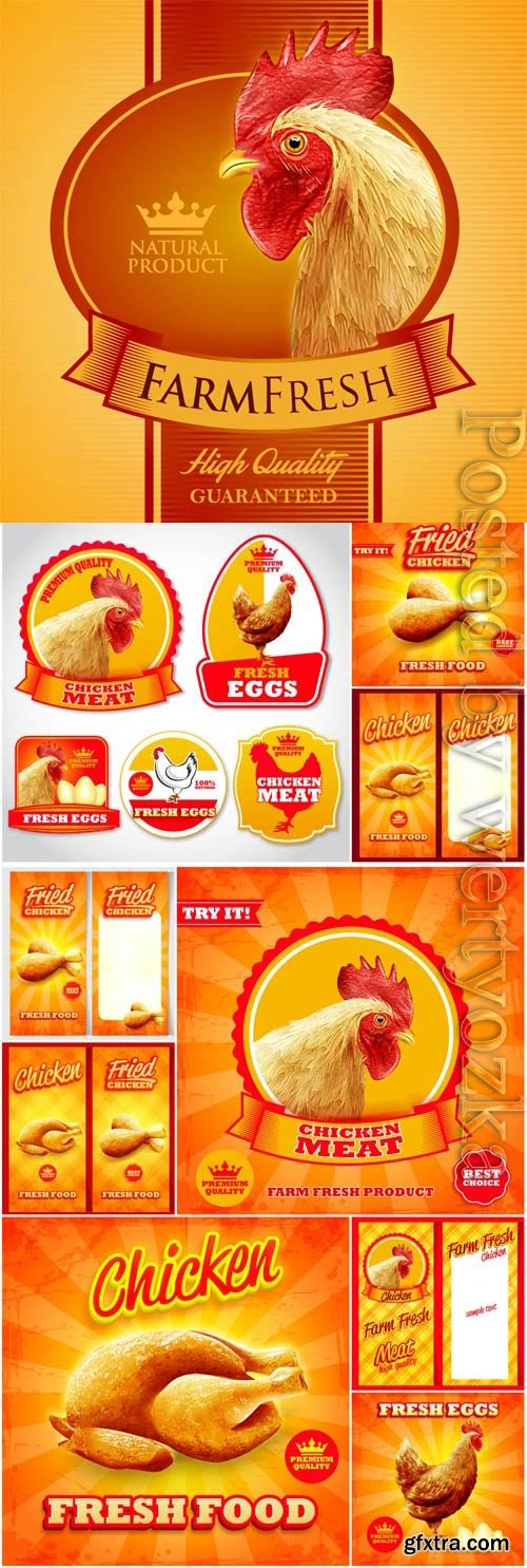 Chicken and meat promotional posters in vector