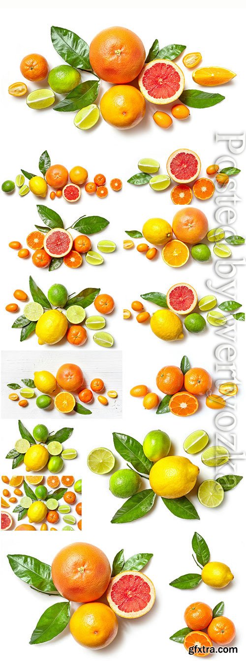 Oranges tangerines and lemons stock photo