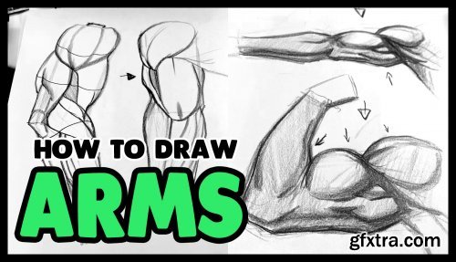 How to Draw Arms - for Beginners