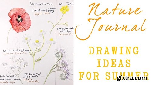 Nature Journal: Drawing Ideas for Summer