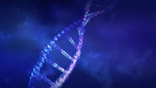 Videohive - Animation Of DNA Strand In Abstract Space 4K - 32893511 - 32893511