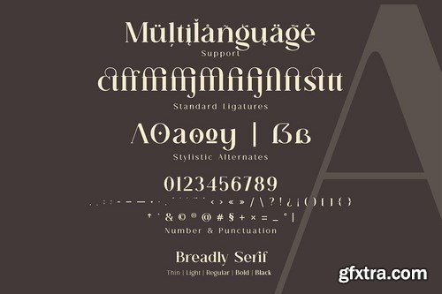 CM - Breadley Serif 6092633