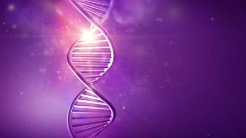 Videohive - Rotating Model Of DNA Strand On A Purple Background HD - 32893515 - 32893515