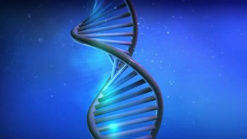 Videohive - The DNA Strand Model Rotates In Close-Up 4K - 32893517 - 32893517