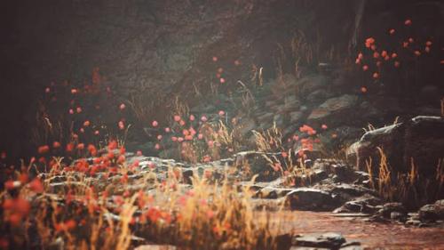 Videohive - Gravel Path with Rocks in Mountains - 32902465 - 32902465