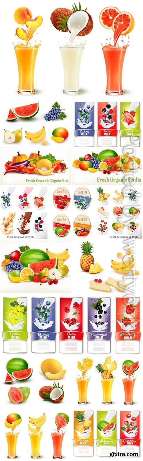 Fruit berries and fresh juices in vector