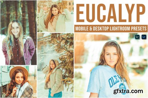 Eucalyp Mobile and Desktop Lightroom Presets