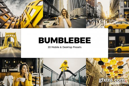 CreativeMarket - 20 Bumblebee Lightroom Presets & LUTs 6179674