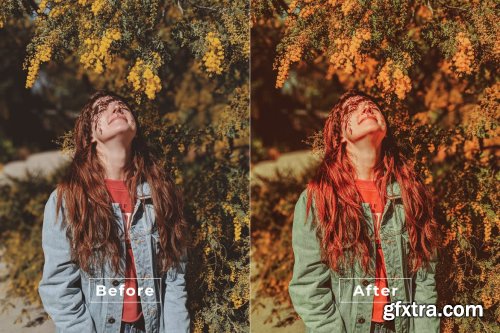 Winfred Desktop and Mobile Lightroom Preset