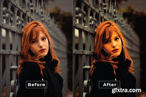 Windell Desktop and Mobile Lightroom Preset