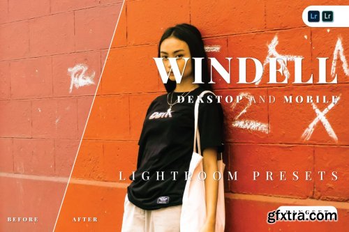 Windell Desktop and Mobile Lightroom Preset