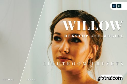 Willow Desktop and Mobile Lightroom Preset