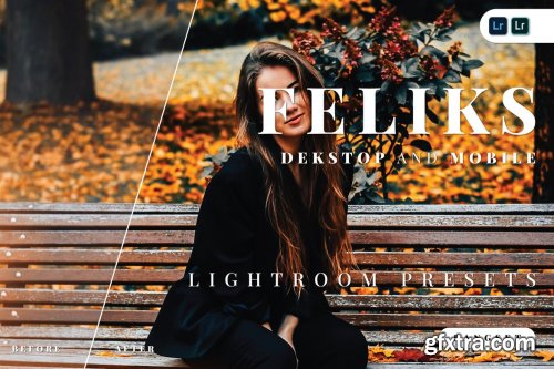 Feliks Desktop and Mobile Lightroom Preset