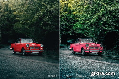 Chicory Mobile and Desktop Lightroom Presets